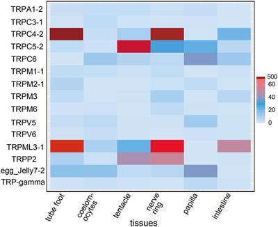 Characterization and expression profile of transient receptor potential channels in sea cucumber Apostichopus japonicus